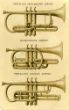 Conn Cornets PC.jpg